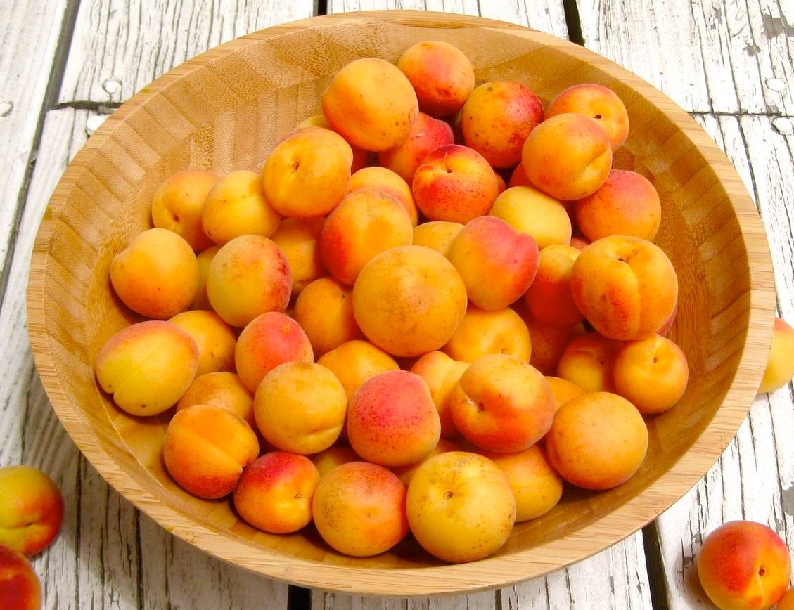 Apricot Tart.jpg